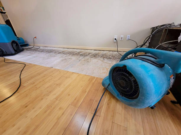 Professional Emergency Water Damage technician working in Milltown, NJ